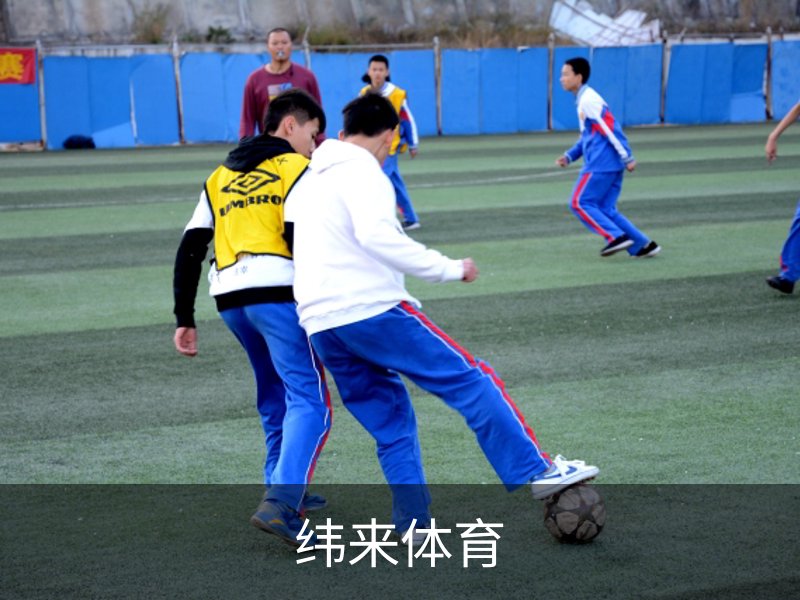 了解纬来体育